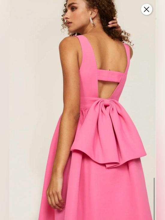 Sachin + Babi Dresses & Skirts - Sachin + Babi “Katrina” Pink Bow-Back Gown Dress size 4